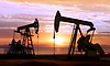 India's strategic oil reserves cover only 9-10 days of crude imports: Report